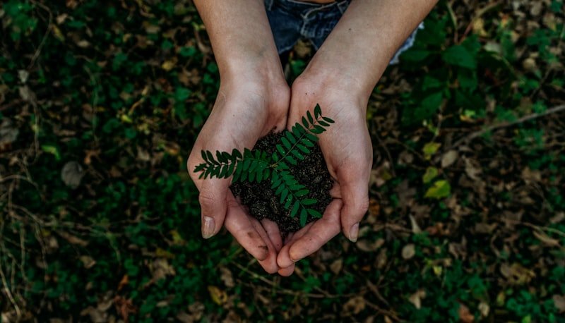 Disaster Relief & Climate Action